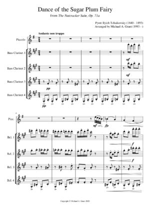Dance of the Sugar Plum Fairy, by Pyotr Ilyich Tchaikovsky (Bass clarinet/piccolo quintet)
